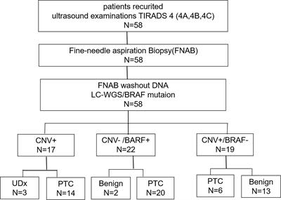 Washout DNA copy number analysis by low-coverage whole genome sequencing for assessment of thyroid FNAs